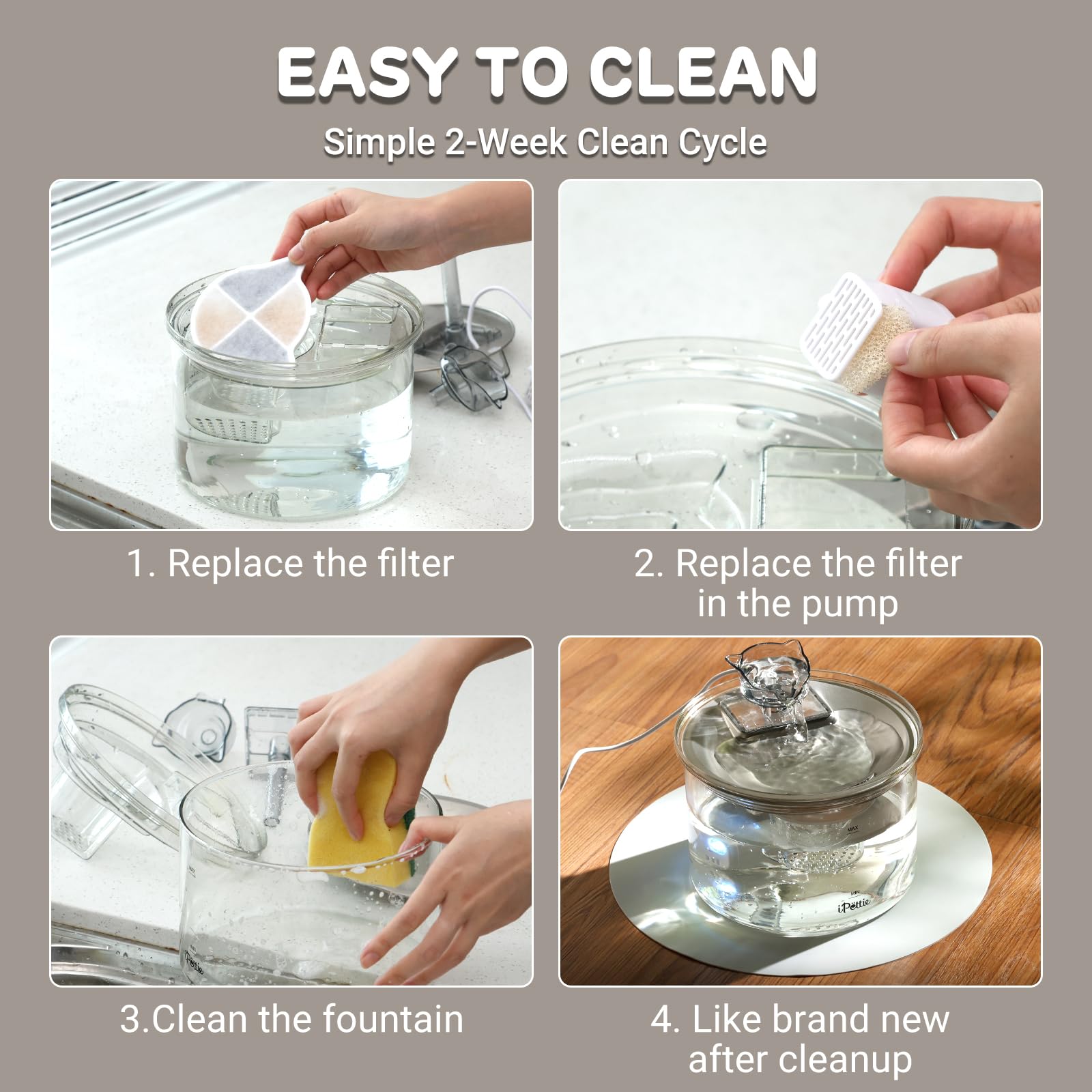Transparent Glass & Stainless Steel Pet Water Fountain – 2L Filtered Automatic Drinking Dispenser for Cats & Small Dogs