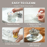 Transparent Glass & Stainless Steel Pet Water Fountain – 2L Filtered Automatic Drinking Dispenser for Cats & Small Dogs