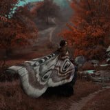 Butterfly Wings & Moth Antenna Costume Set for Women – Chiffon Cape with Headband (Halloween & Cosplay Accessory)