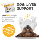 MaxxiSAMe Liver Support Powder for Dogs – SAM-e Formula for Liver Health & Cognitive Function
