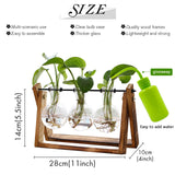 XXXFLOWER Glass Plant Terrarium with Wooden Stand 3 Bulb Hydroponic Vase Retro Tabletop Air Planter for Home Office Décor – Clear Green