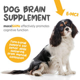 MaxxiSAMe Liver Support Powder for Dogs – SAM-e Formula for Liver Health & Cognitive Function
