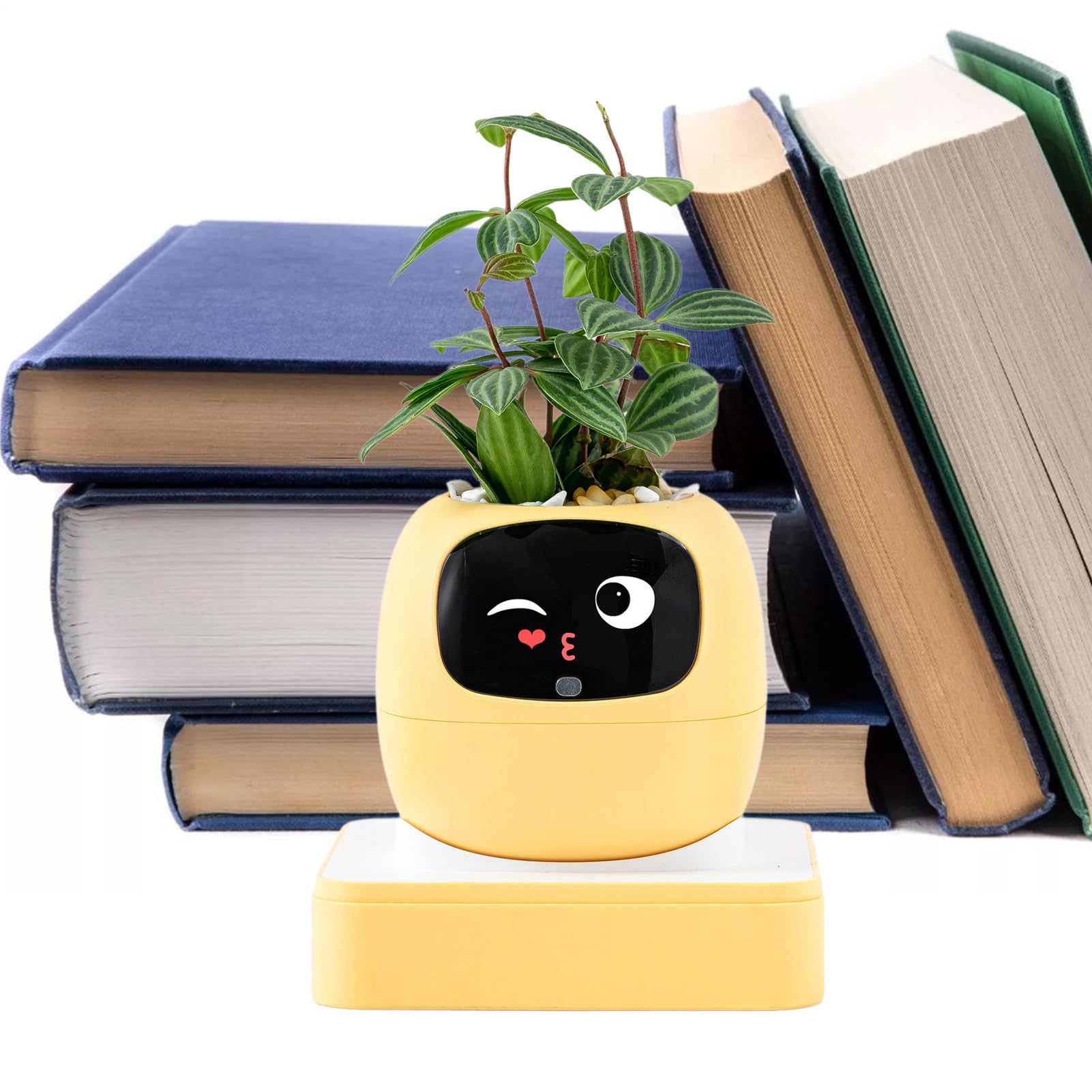 Interactive AI Smart Plant Pot with Animated Display, Gesture Recognition, and Intelligent Plant Care Assistant for Indoor Plants
