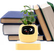 Interactive AI Smart Plant Pot with Animated Display, Gesture Recognition, and Intelligent Plant Care Assistant for Indoor Plants