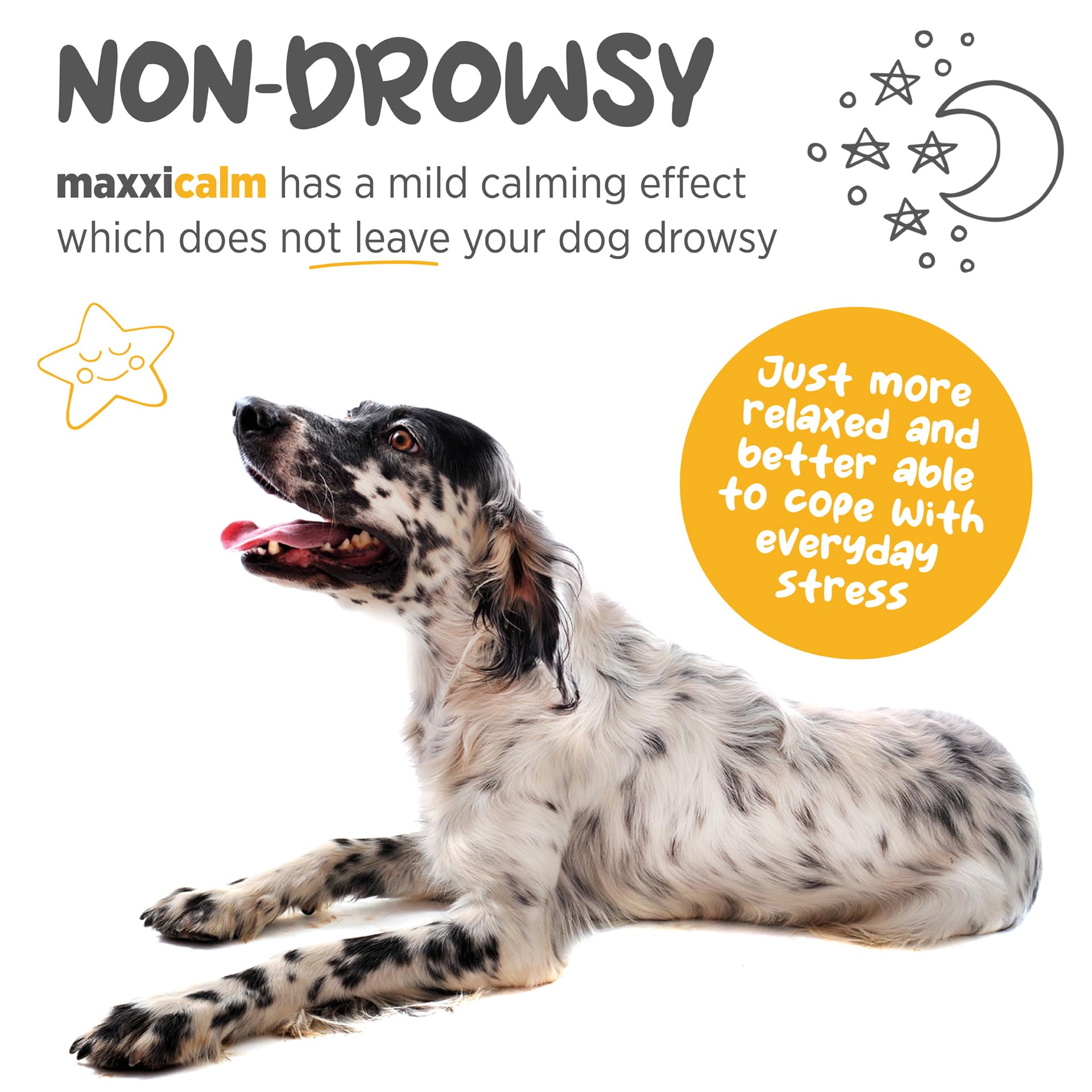 MaxxiCalm Natural Calming Tablets for Dogs – Anxiety & Stress Support with L-Theanine, Taurine & Chamomile