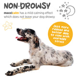 MaxxiCalm Natural Calming Tablets for Dogs – Anxiety & Stress Support with L-Theanine, Taurine & Chamomile