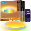 Smart RGBIC Planar Ceiling Light with 121 Segments, 4300lm High Brightness & Alexa/Matter Support – Multi-Color