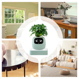 AI Smart Planter with Interactive Display, Plant Health Sensor, Gesture Control, and Animated Expressions for Indoor Plant Care