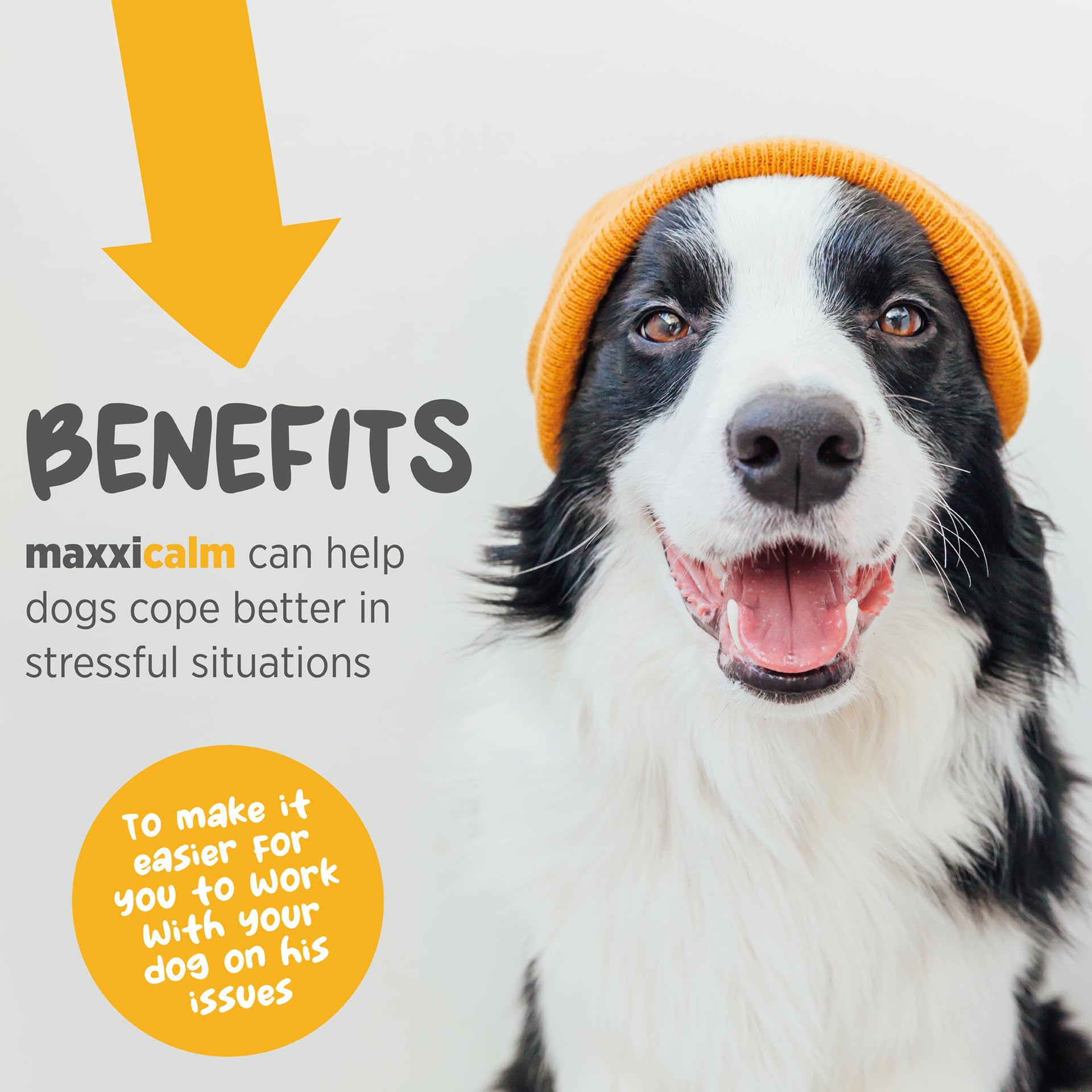 MaxxiCalm Natural Calming Tablets for Dogs – Anxiety & Stress Support with L-Theanine, Taurine & Chamomile