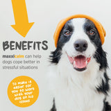 MaxxiCalm Natural Calming Tablets for Dogs – Anxiety & Stress Support with L-Theanine, Taurine & Chamomile