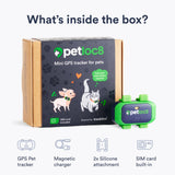 4G GPS Cat Tracker Collar Real-Time Location Waterproof Smart Pet Locator with Geo-Fence Alerts and App Control