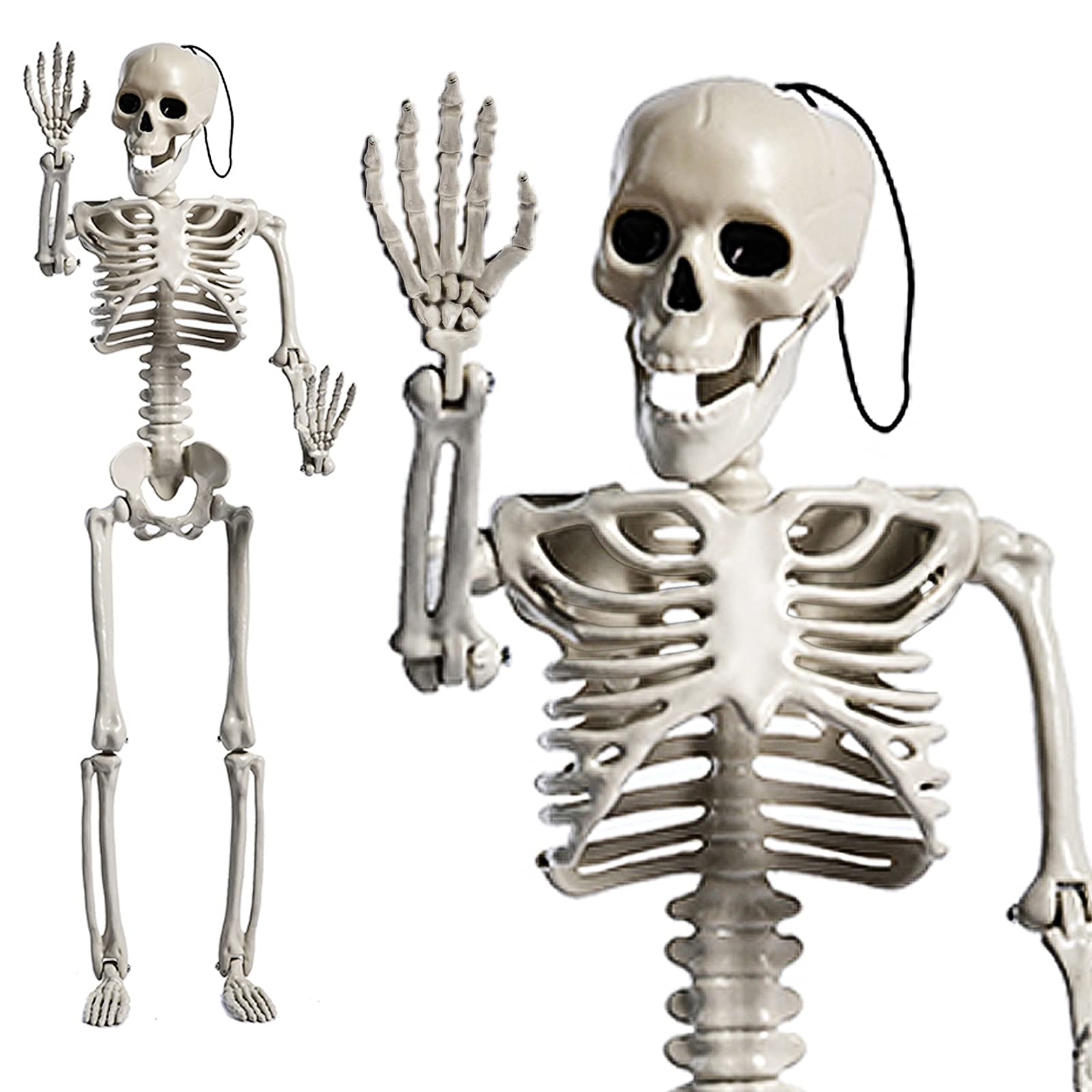 24" Full Body Halloween Skeleton Decoration – Posable Joints, Realistic Bone Design & Durable Plastic Build