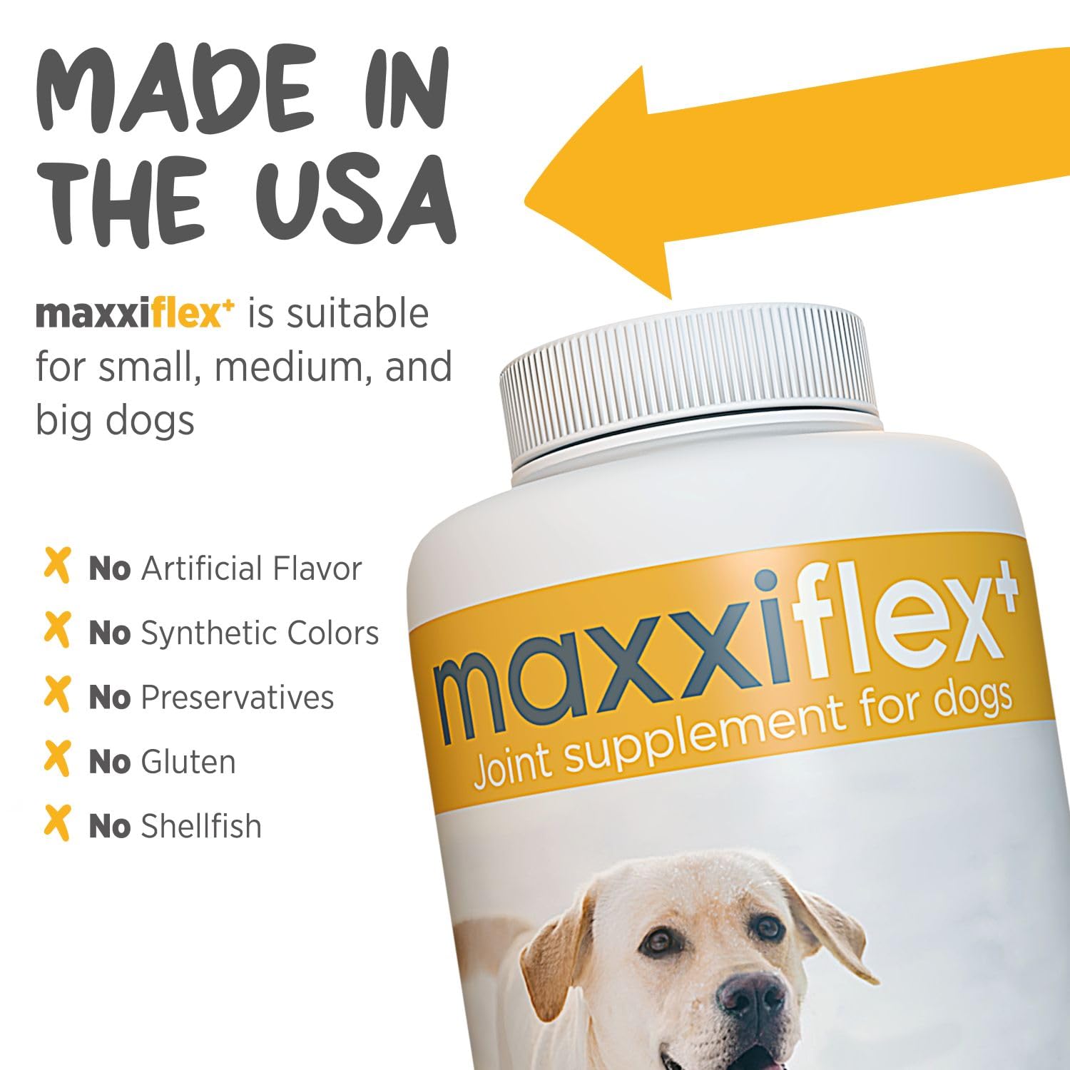 MaxxiFlex+ Advanced Joint Support Tablets for Dogs – Glucosamine, MSM & Turmeric Hip & Mobility Formula (60 Chews)