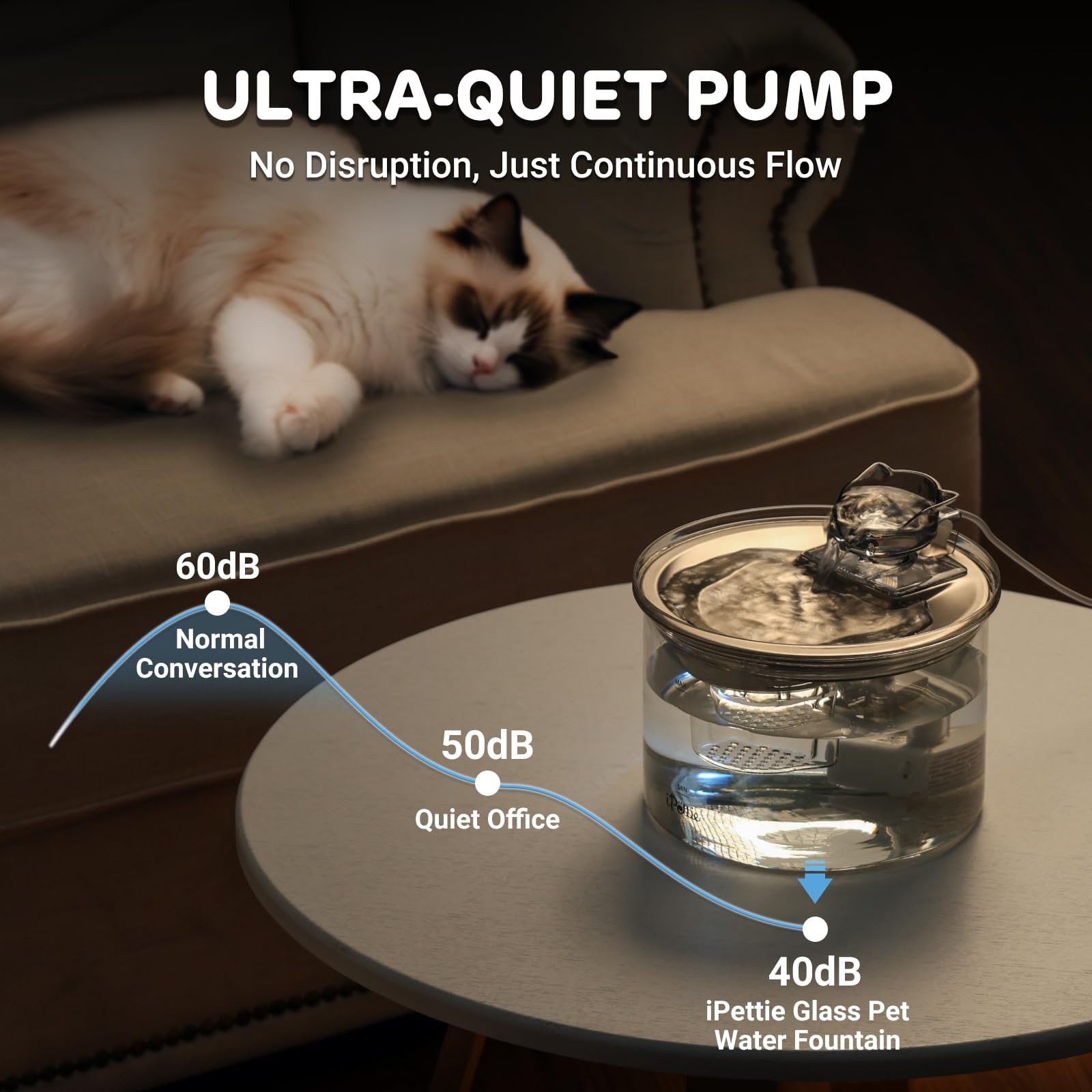 Transparent Glass & Stainless Steel Pet Water Fountain – 2L Filtered Automatic Drinking Dispenser for Cats & Small Dogs