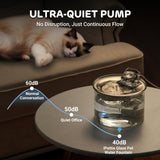 Transparent Glass & Stainless Steel Pet Water Fountain – 2L Filtered Automatic Drinking Dispenser for Cats & Small Dogs