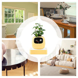 Interactive AI Smart Plant Pot with Animated Display, Gesture Recognition, and Intelligent Plant Care Assistant for Indoor Plants