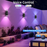 WiFi Smart RGB Outdoor Wall Light – Dusk to Dawn Up & Down Sconce with Alexa Control