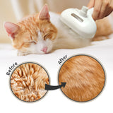 Self-Cleaning Cat Steam Grooming Brush with Mist Spray, Deshedding and Massage Tool for Cats and Dogs with Soft Stainless Steel Bristles
