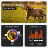 Weenect XS Mini GPS Tracker for Cats with Real-Time Tracking & Global Coverage – Lightweight Waterproof Pet Location Tracker (Black)