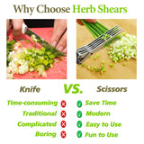 5-Blade Herb Scissors with Cleaning Comb & Cover – Stainless Steel Kitchen Shears