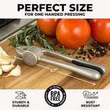 Premium Garlic Press & Ginger Mincer – Heavy-Duty Stainless Steel Crusher with Ergonomic Handle
