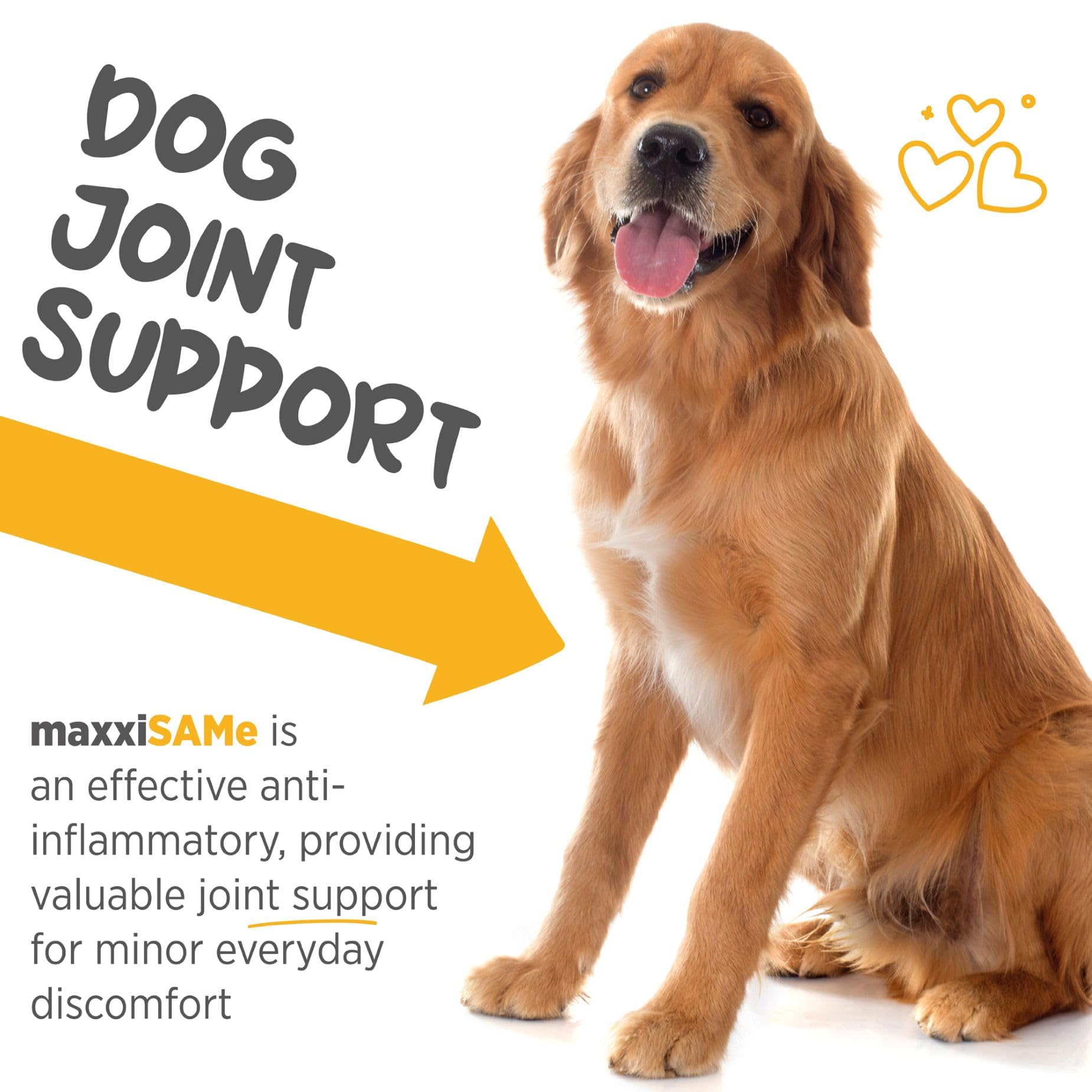 MaxxiSAMe Liver Support Powder for Dogs – SAM-e Formula for Liver Health & Cognitive Function