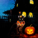 Halloween Witch Pumpkin Hat & Tutu Collar Costume for Cats and Small Dogs – Cute Pet Outfit for Halloween Parties