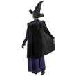 Official Elphaba Costume – Wicked Witch Dress, Cape & Hat for Women 🖤💚