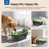 2.5L Stainless Steel Cat Water Fountain with LED Water Level Window, USB Powered Quiet Pump & Waterproof Silicone Mat – Green