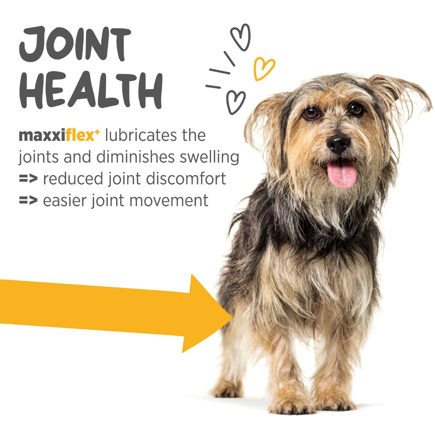 MaxxiFlex+ Advanced Joint Support Tablets for Dogs – Glucosamine, MSM & Turmeric Hip & Mobility Formula (60 Chews)