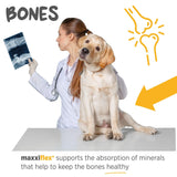 MaxxiFlex+ Advanced Joint Support Tablets for Dogs – Glucosamine, MSM & Turmeric Hip & Mobility Formula (60 Chews)