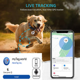 Smart Pet Tracker Collar Tag for Cats and Dogs Real-Time Locator No Monthly Fee iOS and Android Compatible