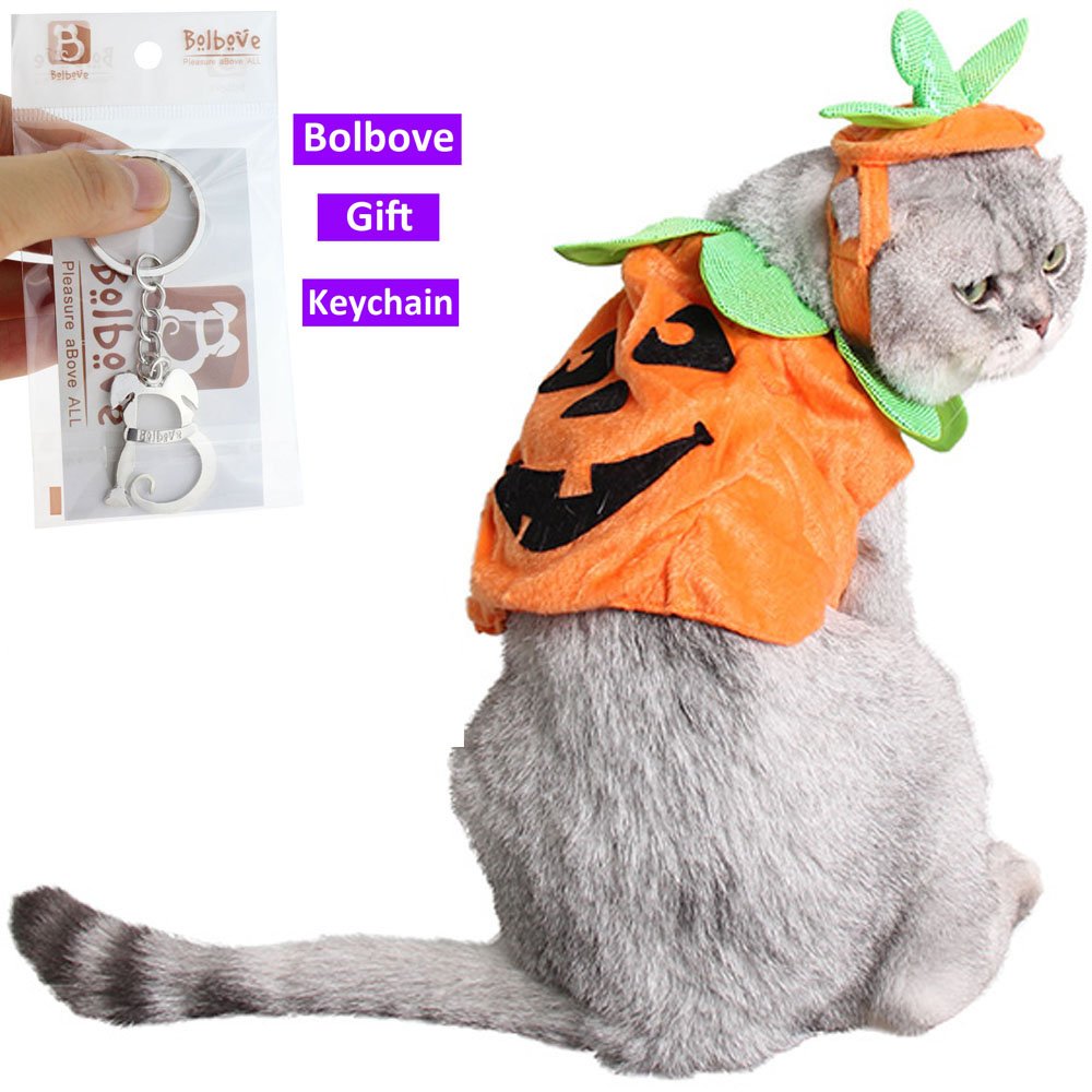 Pumpkin Pet Costume Set – Orange Halloween Outfit with Hat & Clothes for Cats and Small Dogs