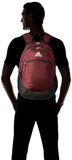 Striker Team Sports Backpack – Durable Multi-Pocket Soccer & Workout Bag with Laptop Sleeve