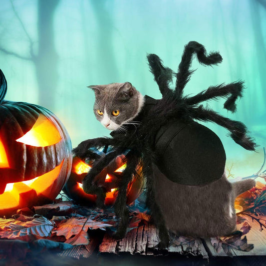 Black Spider Halloween Costume for Cats and Small Dogs – Adjustable Funny Pet Outfit with 8 Realistic Legs