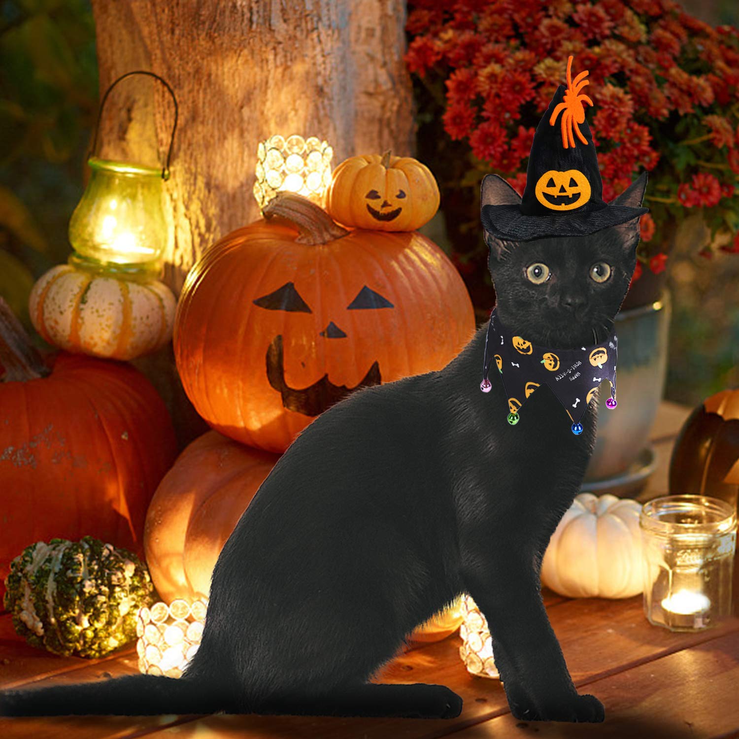 Halloween Hat & Collar Suit for Cats and Small Dogs – Pumpkin & Spider Pattern with Jingle Bells