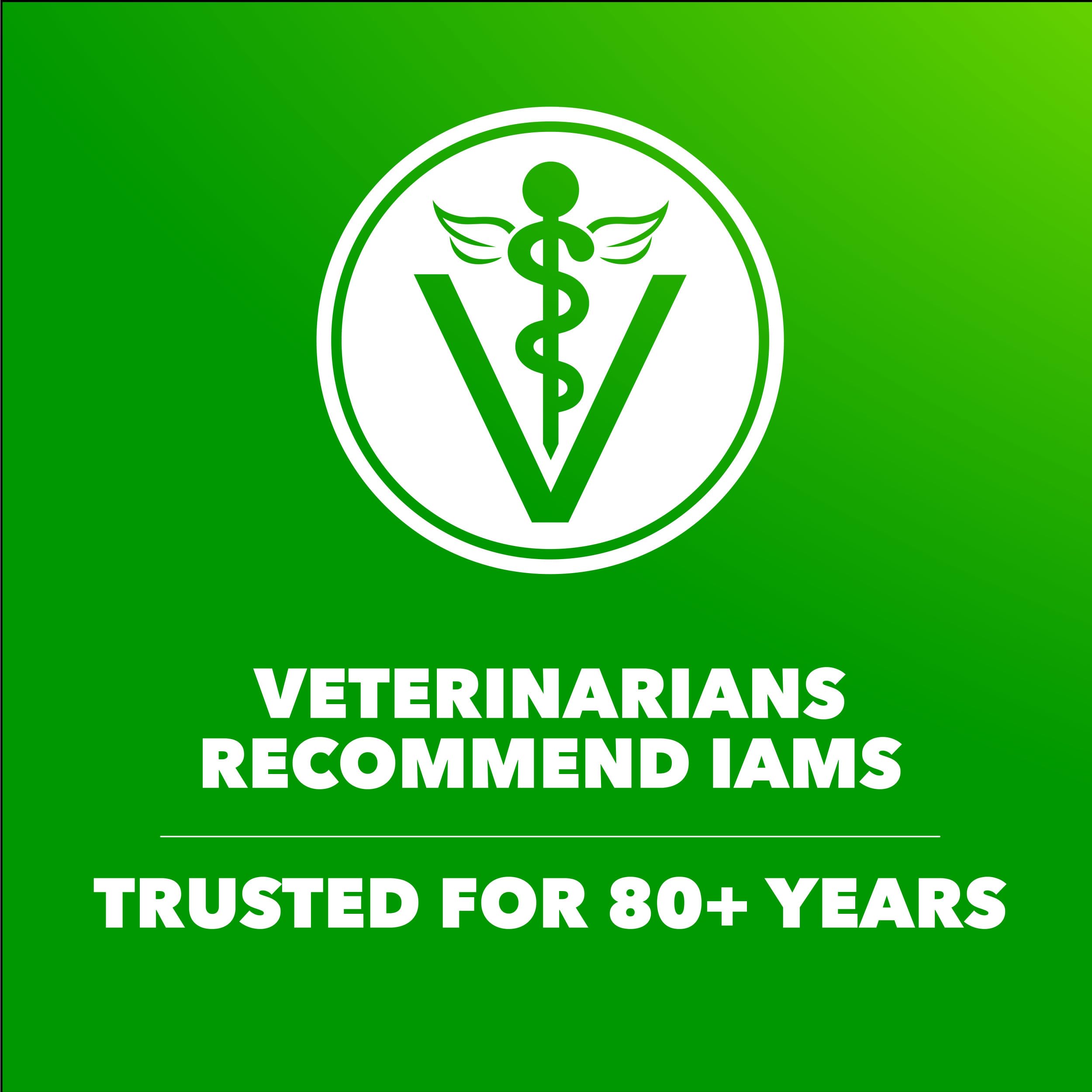 IAMS Proactive Health Large Breed Adult Dry Dog Food Chicken & Whole Grain High Protein Nutrition Formula