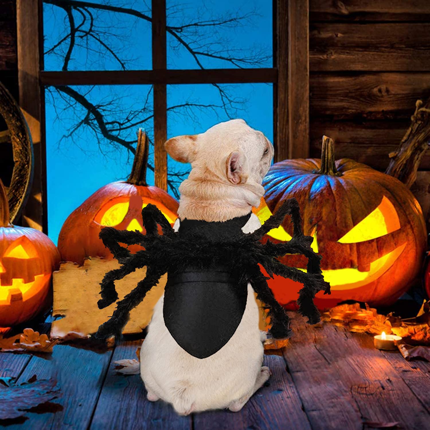 Black Spider Halloween Costume for Cats and Small Dogs – Adjustable Funny Pet Outfit with 8 Realistic Legs