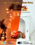 Battery Operated Halloween Lights – 30 LED 9.8ft Orange String Lights with Timer, Waterproof Indoor & Outdoor Decor