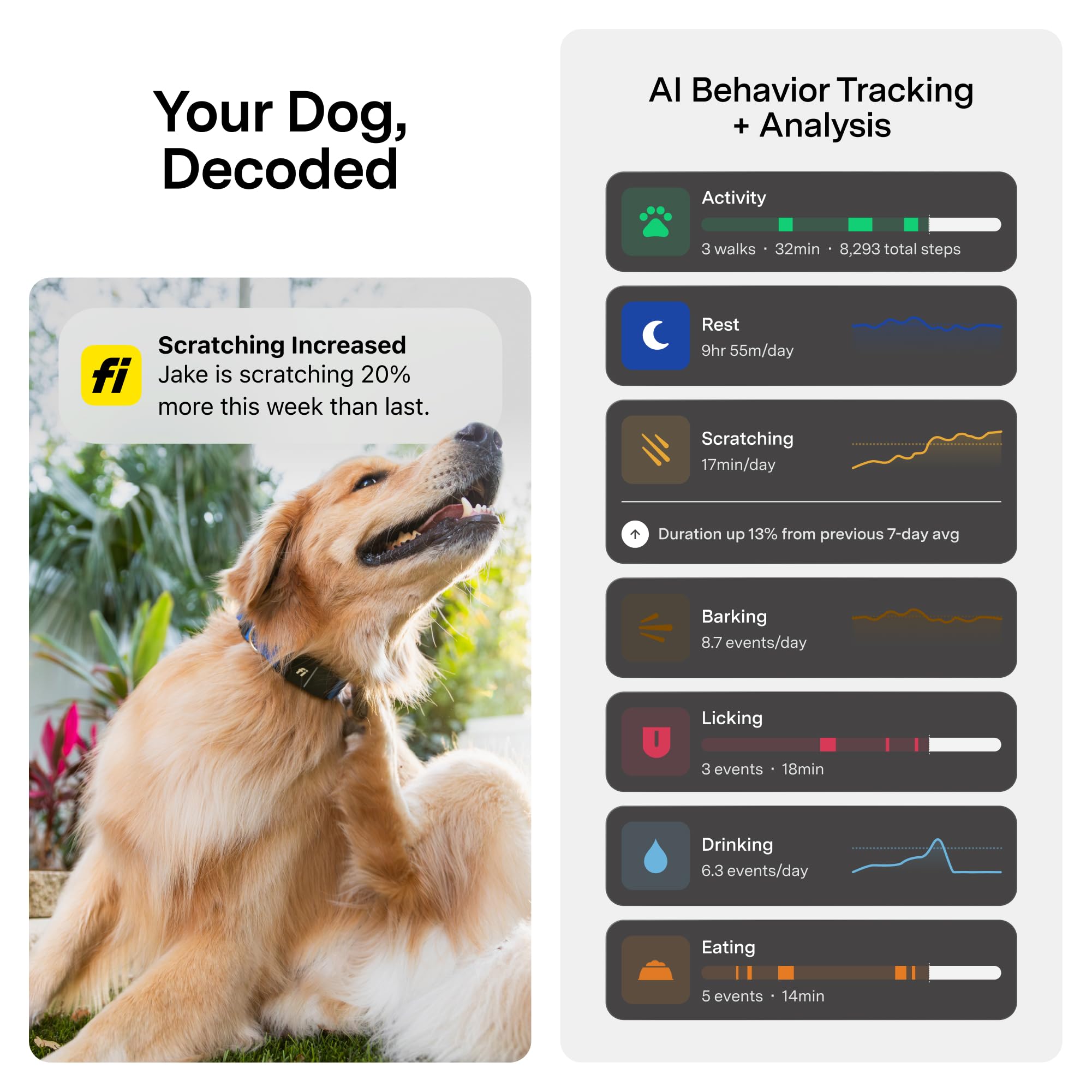 Fi Series 3+ Smart GPS Dog Collar Gray with Live Tracking, Escape Alerts & AI Health Monitoring System