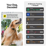 Fi Series 3+ Smart GPS Dog Collar Gray with Live Tracking, Escape Alerts & AI Health Monitoring System