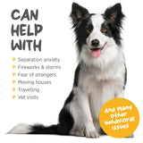 MaxxiCalm Natural Calming Tablets for Dogs – Anxiety & Stress Support with L-Theanine, Taurine & Chamomile