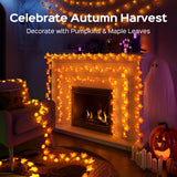 Pumpkin & Maple Leaf Halloween String Lights – 15FT Battery-Powered Warm White LEDs with Remote, 8 Modes & Timer (Waterproof, Indoor/Outdoor)