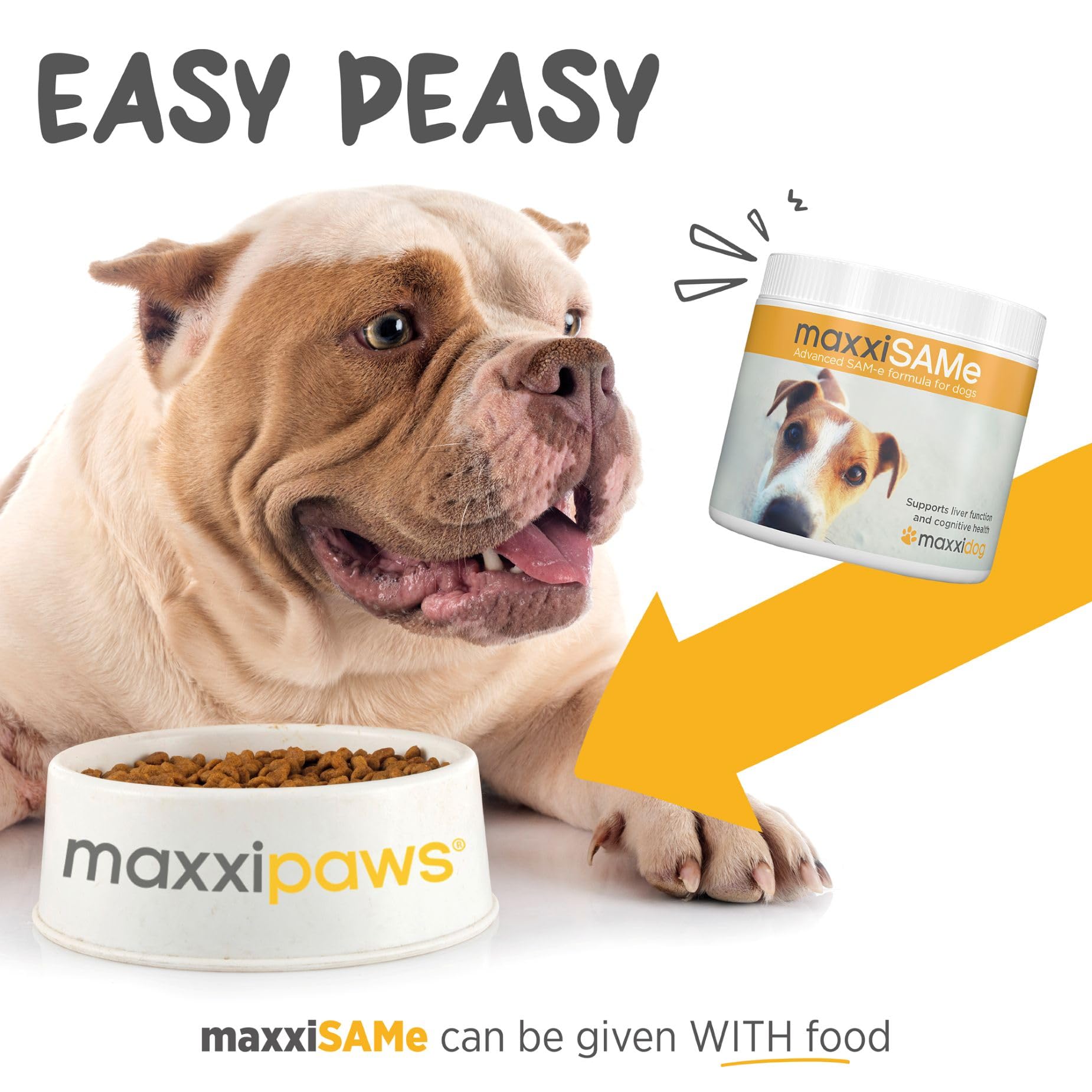 MaxxiSAMe Liver Support Powder for Dogs – SAM-e Formula for Liver Health & Cognitive Function