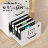 Heavy-Duty Plastic Hanging File Folders – Expandable Letter Size Filing System with Tabs (Black, 12-Pack)