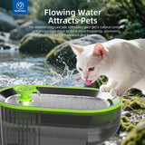 2.5L Stainless Steel Cat Water Fountain with LED Water Level Window, USB Powered Quiet Pump & Waterproof Silicone Mat – Green
