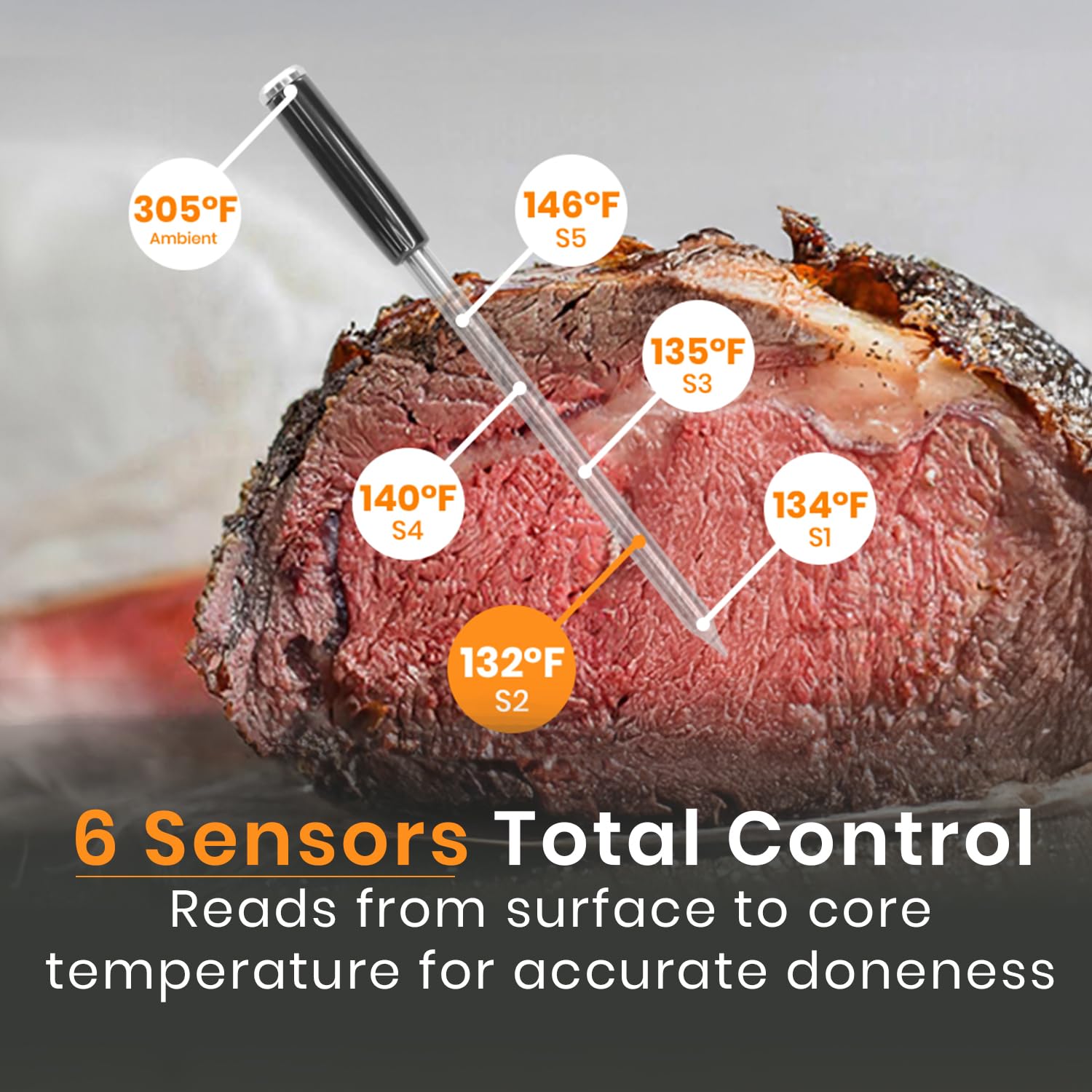 WiFi Smart Meat Thermometer with 6 Sensors & Extreme High-Heat Resistance