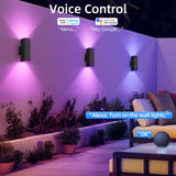 Smart RGB Outdoor Wall Light – Festive Color Changing Up & Down Sconce with Alexa