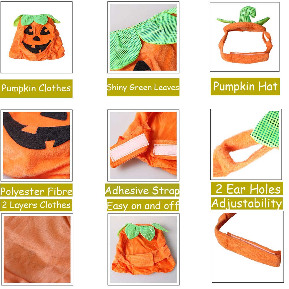 Pumpkin Pet Costume Set – Orange Halloween Outfit with Hat & Clothes for Cats and Small Dogs