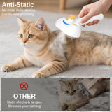 3-in-1 Cat Steam Grooming Brush with Mist Spray & Massage Function – Self-Cleaning Pet Hair Remover for Cats & Dogs (White)